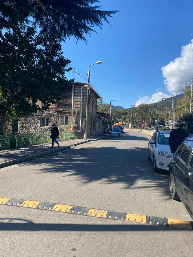 Lizielene Lägenhet Borjomi Exteriör bild
