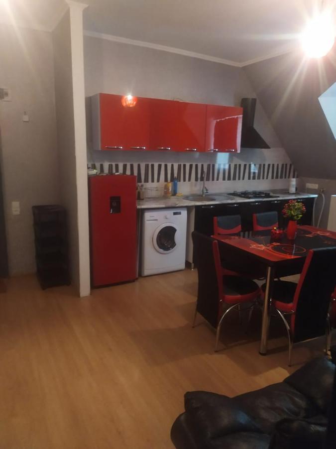 Lizielene Lägenhet Borjomi Exteriör bild