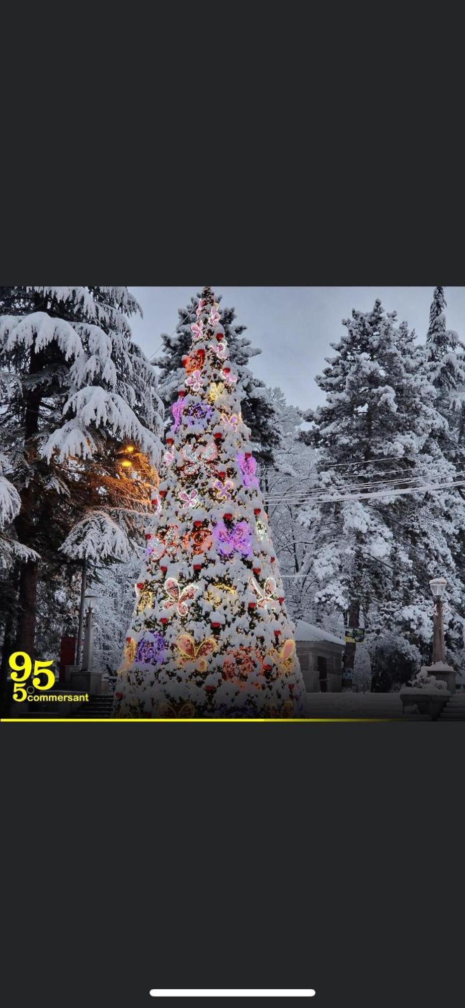 Lizielene Lägenhet Borjomi Exteriör bild